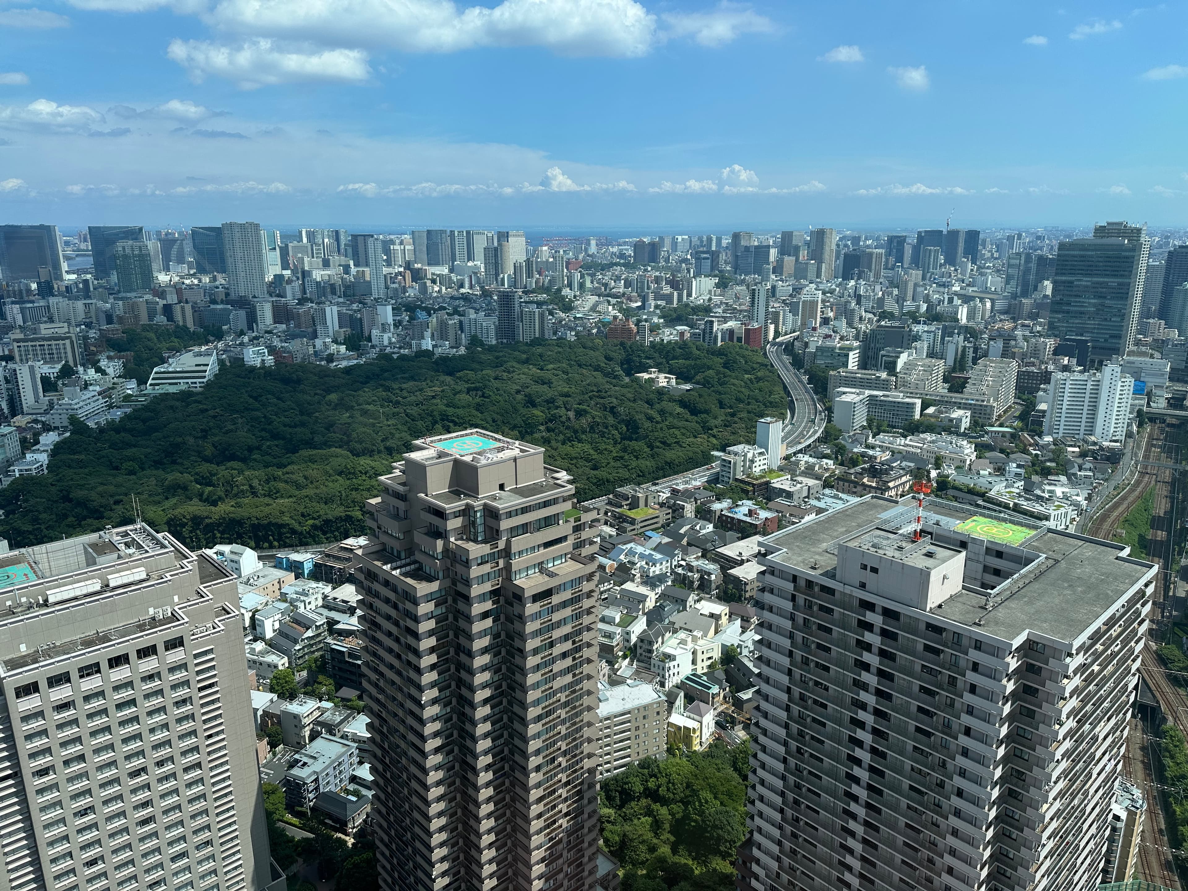 都市の中にある自然